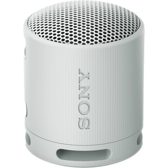 SONY SRS-XB100 Light Grey