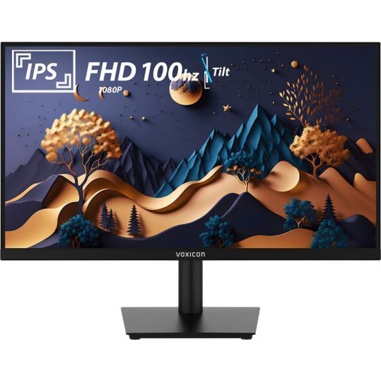 Voxicon P24FHD100 flat panel PC monitors 